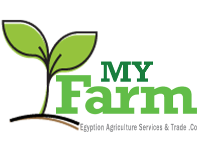 My Farm | Egyption Agriculture Services & Trade .Co